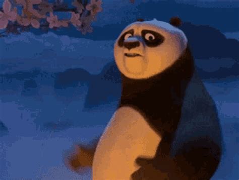 Happy Birthday Kung Fu Panda  Estrelaspessoais