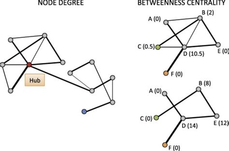 Graphical representation of node degree and betweenness centrality. On ...
