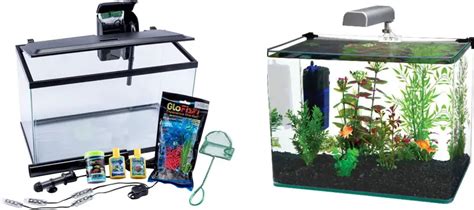 10 Gallon Fish Tank What To Buy And Fish Options