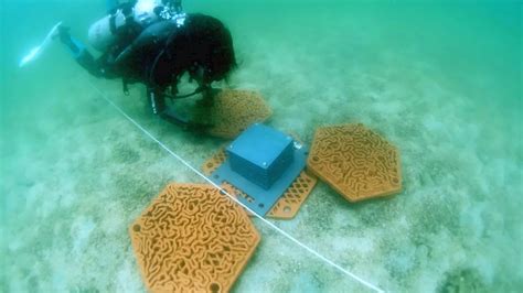 Initiative To Restore Coral Reefs Using 3d Printed Tiles Environment
