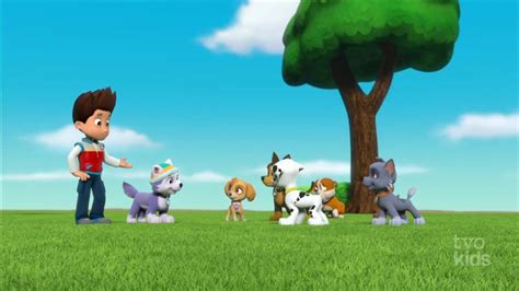 Chasegallerypups Save The Marooned Mayors Paw Patrol Wiki Fandom