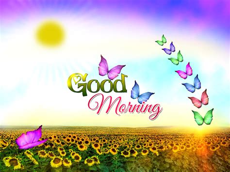 Best latest good morning images hd 1080p wallpaper download. Download Wallpaper Download Good Morning Gallery
