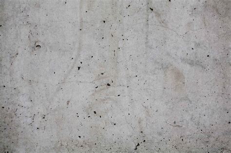 Far from being harmful, these uninvited guests could reveal our evolutionary history. Generic Grey Concrete Texture