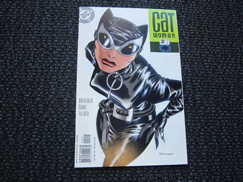 Catwoman 2 Darwyn Cook Art Classic Cover Etsy