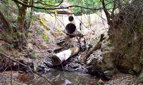 Stream Crossings Marin Rcd