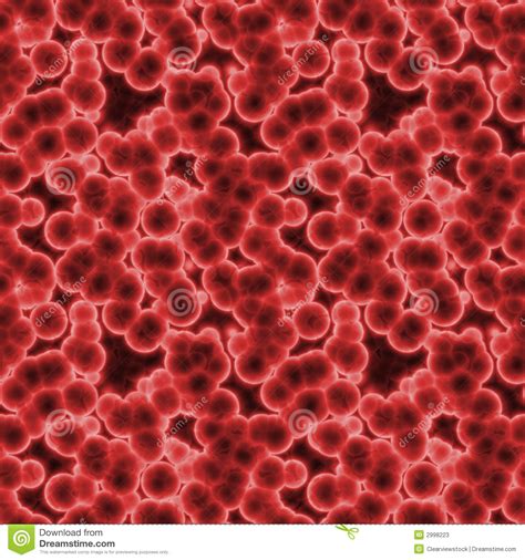 Red Blood Cells Closeup Stock Vector Illustration Of Cell