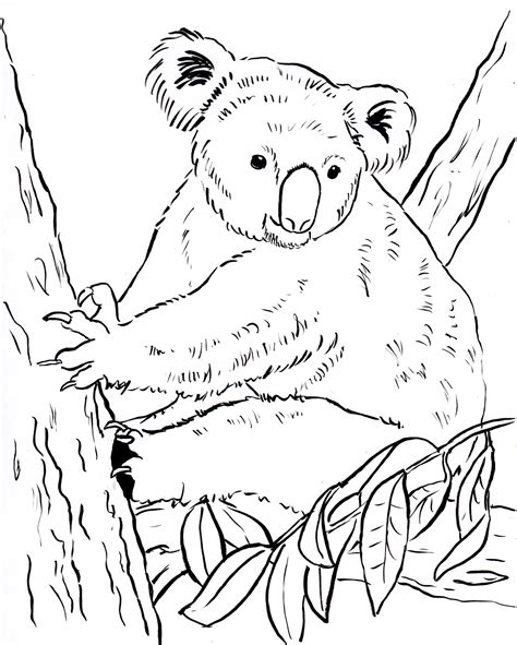 Koala Printable