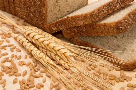 El maíz es una fuente importante de fibra cuyo contenido varía según el tipo. El trigo: cereal ancestral | Servicio Nacional de Sanidad ...