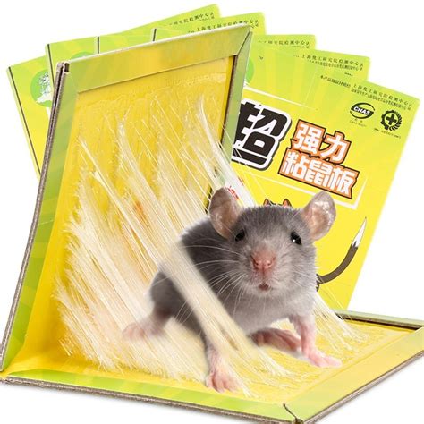 Buy New Super Strong Mouse Glue Traps Sticky Mouse