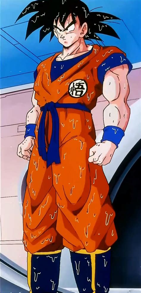 The Renewed Goku Dragon Ball Wiki Fandom Powered By Wikia