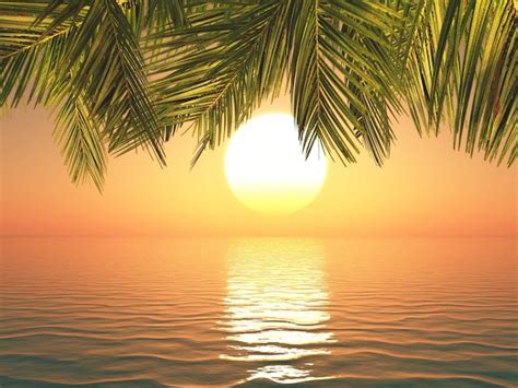 Free Photo 3d Render Of A Tropical Landscape At Sunset