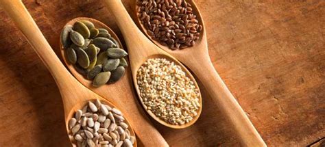 5 Edible Seeds And Their Benefits Fit Foodies Mantra