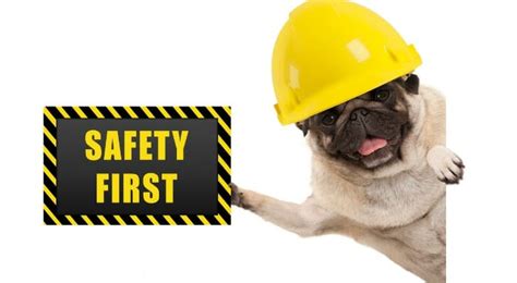 With seven different certificate options to choose from. 10 Safe Investments to Protect Your Money - SmartAsset