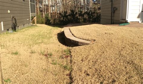 Does Zoysia Grass Go Dormant When And How To Do Maintenance