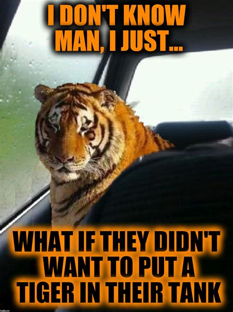 Introspective Tiger Is Having Second Thoughts Tiger Week Jul 29