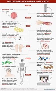 What Happens To Your Body After You Die