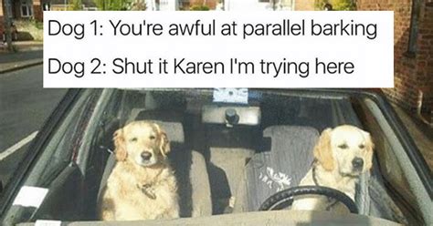 19 Karen Memes To Share With Every Piece Of St Karen You Know