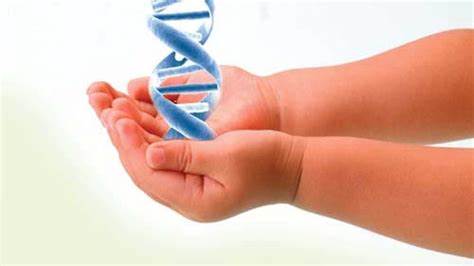 Диабет гестационный диета Гестационный диабет провоцируют некоторые привычки | Академия Гестационный диабет провоцируют некоторые привычки | Академия Диабет гестационный диета