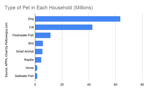 The Most Common Dog Owner Statistics