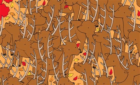 Brain Teaser: Can You Find The Doe Among The Stags? | 12 ...