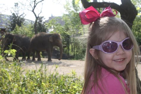 Lueker Munchkins School And Play Cincinnati Zoo Fieldtrip
