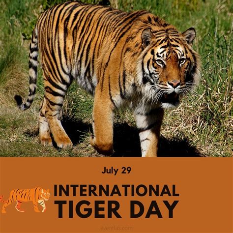 National pet day was founded in 2006 by pet & family lifestyle expert, animal welfare advocate colle. International Tiger Day 2021 | Eventlas