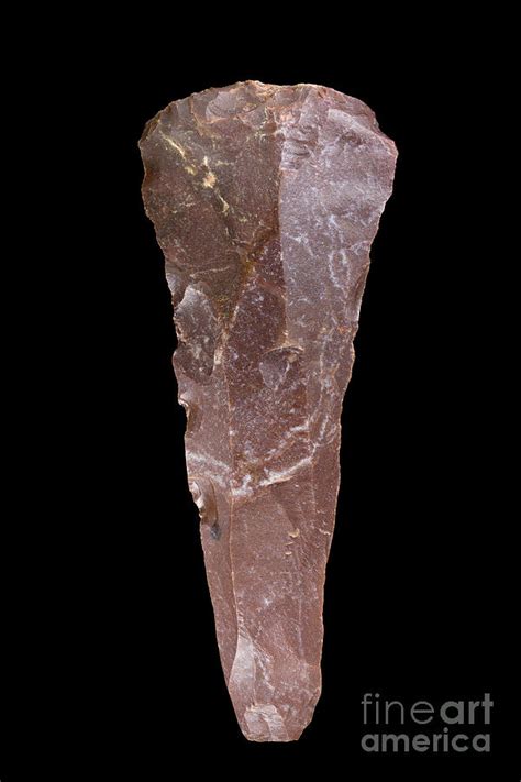 Neolithic Period Stone Tool Photograph By Pascal Goetgheluckscience