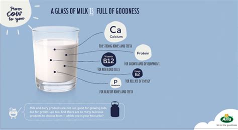 The Health Benefits Of Milk As A Rich And Complete Protein