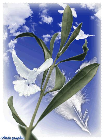 Domenica delle palme immagini gratis per facebook e whatsapp. buona domenica delle palme su libera di amare