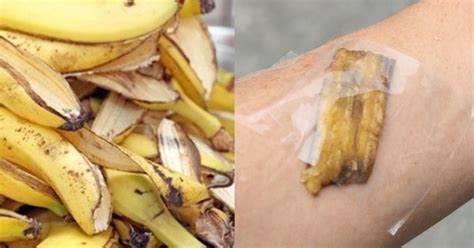 Les Utilisations Insolites Des Pelures De Votre Banane Et Votre Orange