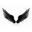 Silhouette Wings Vector Illustration On White Background Black 
