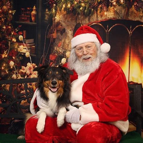 These 38 Santa Photos With Dogs Are The Greatest T You Can Get This