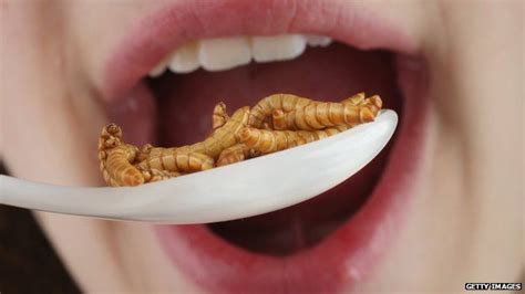 China Volunteers Test Worm Diet For Astronauts Bbc News