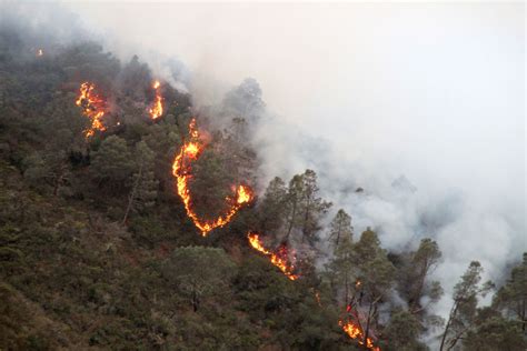 Jun 28, 2021 · king city, calif. River Fire triples in size, burns more than 15,000 acres ...