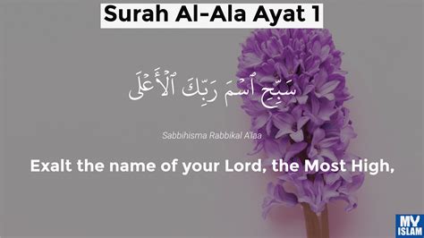 Surah Ala Ayat 876 Quran With Tafsir My Islam 41 Off