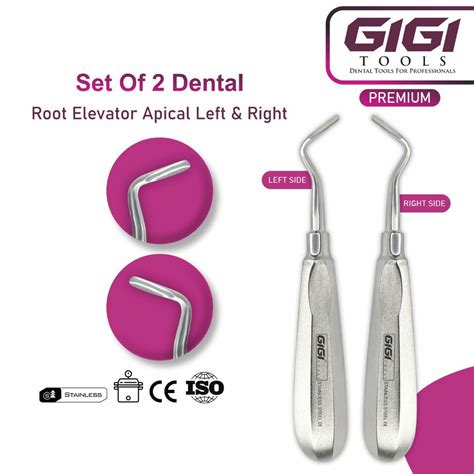 Gigi Tools Dental Apical Elevator Regular Left And Right Dental Root