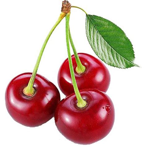 Oregon Fruit Puree Red Tart Cherry