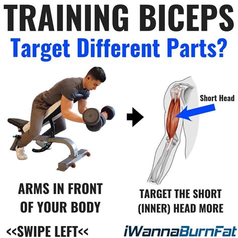 5 biceps tips that build size no matter your level of experience biceps gym