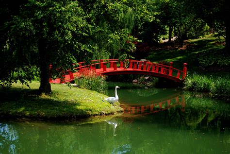 Garden Swan River Bridge Asian Mood Wallpaper 3872x2592 176841