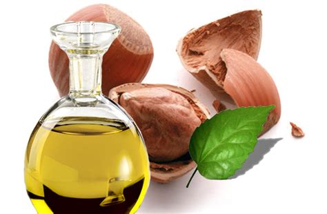 The Health Benefits Of Hazel Nut Oil Health Benefits