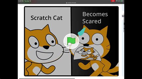 Scratch Cat Becoming Scared For No Reason Youtube