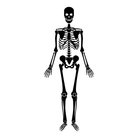 Human Skeleton Icon Black Color Illustration Flat Style Simple Image
