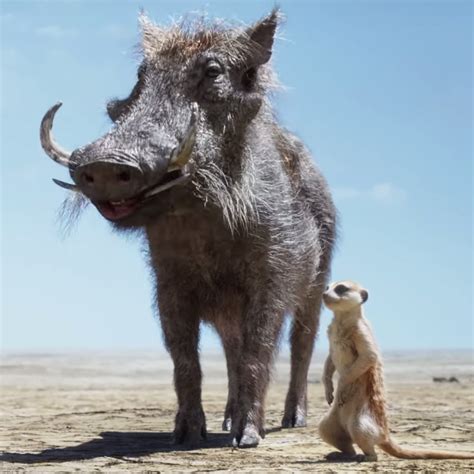 Timon And Pumbaa Live Action Art