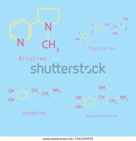 Chemical Formulas Food Cosmetic Preservatives Parabens Stock Vector