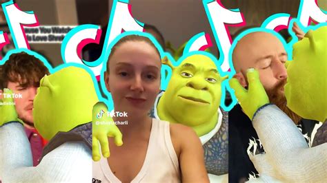 Kissing Shrek Filter Meme Funny Tiktok Trend Tiktok Compilation