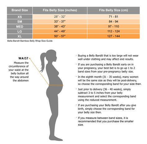 Pregnancy Belly Growth Chart