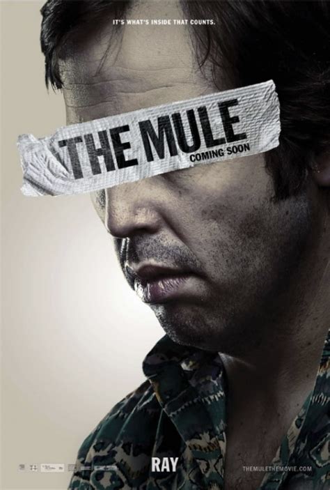 And even as his money problems become a thing of the past, earl's past mistakes. The Mule (2014) Movie Review; One of the best Drug runner ...