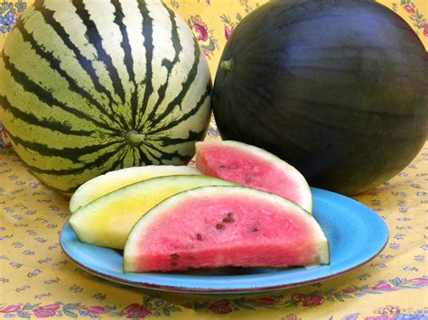 Reasons To Grow ‘sugar Baby Watermelon Hgtv