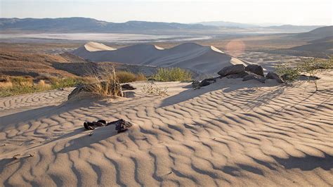 Sand Mountain, Nevada | Discover Sand Mountain Recreation Area