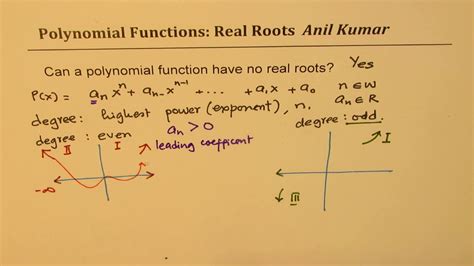 Can Polynomial Functions Have No Real Roots YouTube